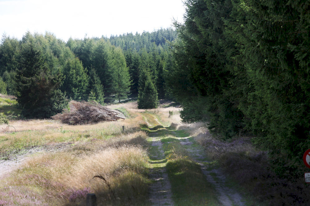 Hotel Dancamps Hampen Exteriér fotografie